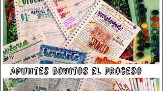 APUNTES BONITOS  el proceso de mis notas  karlasnotes [upl. by Siravart876]