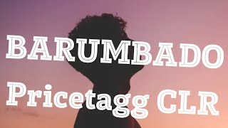 PRICETAGG CLR  BARUMBADO lyrics video [upl. by Inoy]