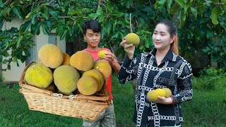 Big Santol Fruit Pick and Eat  Gold Santol Pickle  Pick Fruit and Pickle it for table of food [upl. by Niu]