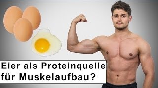 Eier die beste Proteinquelle für den Muskelaufbau [upl. by Ginni197]