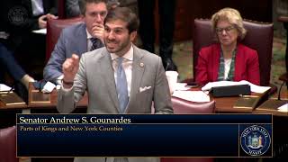 Sen Gounardes Speaks in Support of His Bills to Make Social Media Safer for Kids [upl. by Dine]