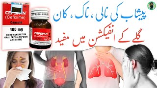 cefspan 400 mg in urdu  cefixime capsules 400 mg in urdu  UTI  throat  Ear  sinus infection [upl. by Christmas]