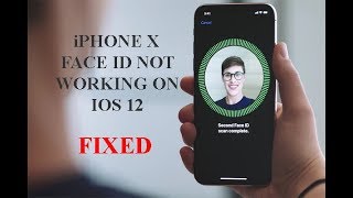 iPhone X Face ID is not Working on iOS 12 Heres the Fix [upl. by Nhepets]