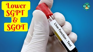 How to Lower SGPT and SGOT in 1 week How to Lower SGPT in 1 Week How to Lower SGOT in 1 Week [upl. by Avaria549]