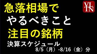 日本株の急落で、暴落と嘆くよりやるべきことと、決算スケジュール２週間分～あす上がる株。最新の日本株情報。高配当株の株価やデイトレ情報も～ [upl. by Allana]