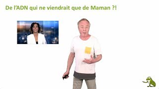 De L’ADN qui ne viendrait que de Maman [upl. by Benia]