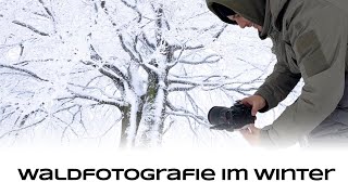 Waldfotografie im Winter  Naturfotografie Tutorial [upl. by Mair]