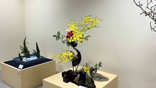 Ikebana exhibition in Tokyo 08 March 2023 [upl. by Ivory]