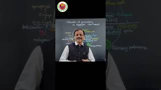 Alternation of Generation in BryophytesMoss Bio by Gulab Sir neetbiology class11biology latest [upl. by Rebmak]