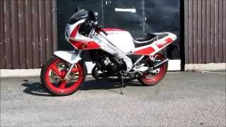 Yamaha TZR250  Startup [upl. by Irtimed670]