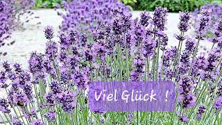 Viel Glück [upl. by Nela]