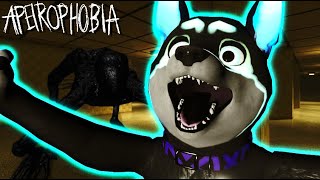 I FACED MY APEIROPHOBIA PLAYING ROBLOX [upl. by Ellsworth321]