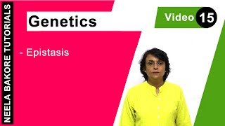 Genetics  Principles of Inheritance amp Variations  NEET  Epistasis  Neela Bakore Tutorials [upl. by Archibaldo448]