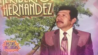 HERIBERTO HERNANDEZ MENSAJE A MI MADRE PISTA ORIGINAL [upl. by Olcott477]