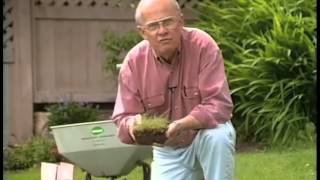 Ed Hume Gives Summer Lawn Care Tips [upl. by Eneleh]