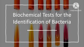 Biochemical Tests for Bacterial Identification Part 1 [upl. by Florencia]