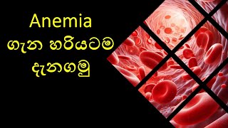 Hematology  Anemia Introduction💉👨‍🔬 MLS Masterclass 👩‍🎓 [upl. by Rafaj]