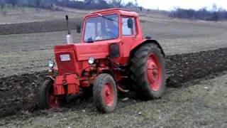 MTZ80 plowing [upl. by Sucul]