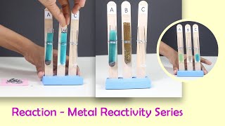 Reaction  Metal Reactivity Series  ThinkTac  DIY Science [upl. by Trebreh276]