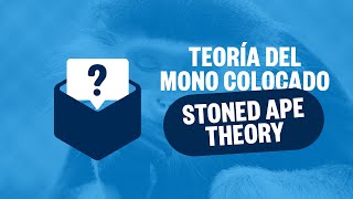 La Teoría del Mono Colocado Stoned Ape Theory  Consultorio Drogopedia [upl. by Assirralc]