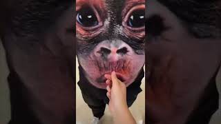 Guy Wearing a Monkey Face Shirt Uses It to Blow on Girl’s Hand [upl. by Anikal]