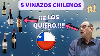 ​🟡 ​🏆​ MEJORES Vinos Chilenos  2023 [upl. by Ityak]