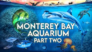 Zoo Tours Monterey Bay Aquarium  PART TWO [upl. by Ellerol]