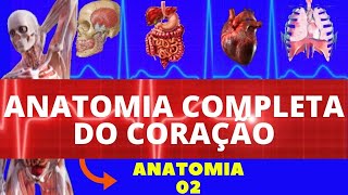 ANATOMIA DO CORAÇÃO LOCALIZAÇÃO CAMADAS VALVAS CORONÁRIAS E INERVAÇÃO  SISTEMA CARDIOVASCULAR [upl. by Darice]