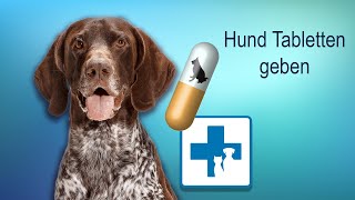 Wie gebe ich dem Hund Tabletten und Medikamente [upl. by Mercorr]