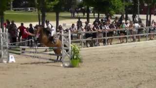 Champion CSO Poney 1 D Minime 1 et  Valentin GOURMAUX [upl. by Omrellig249]