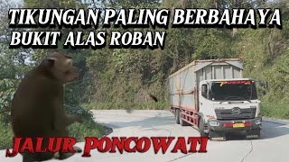 Tikungan Paling Berbahaya Di Jawa Tengah  Alas Roban Jalur Poncowati [upl. by Alyse]