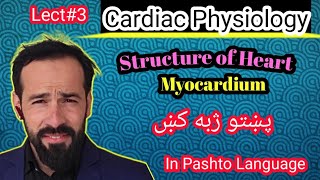 Le3 Physiology of Heart  Structure of heart  Layers of Heart  Structure of Myocardium [upl. by Ardene]