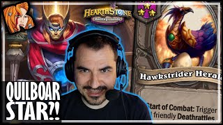 HAWKSTRIDER IS A QUILBOAR STAR  Hearthstone Battlegrounds [upl. by Naynek]