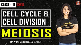 MEIOSIS  Cell Cycle and Cell Division Class 11  NCERT  NEET  AIIMS  JIPMER  Vedantu VBiotonic [upl. by Pietje317]