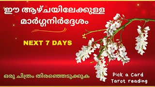 Weekly Guidance 🌼AUG 511🦋നിങ്ങൾക്കുള്ള ഗൈഡൻസ് ⭐️NEXT ONE WEEK 🌈🧿🎋 pickacard next7days blessings [upl. by Sankaran]