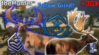 The Hunter call of the wild live46 kills into fallow grind 1 [upl. by Lerak872]