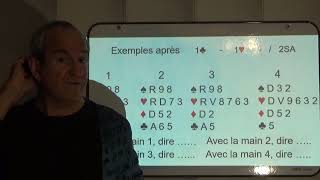 Cours Check Back Stayman présenté par Pierre ROTTELEUR [upl. by Ettenav]