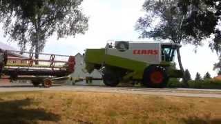 Grassaat dreschen Claas Lexion 430 [upl. by Nick]