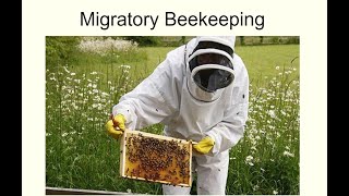 Migratory beekeeping [upl. by Tnilk]