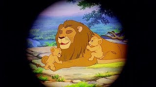 SIMBA THE KING LION  The Lion King  Full Length Episode 1  English KIDFLIX [upl. by Eenot127]