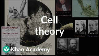 Cell theory  The cellular basis of life  High school biology  Khan Academy [upl. by Nosloc]