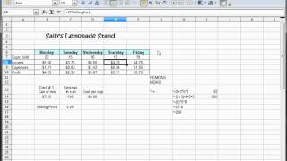 9  Libre Office Calc Open Office Calc Excel Tutorial  2 rows of text in 1 cell  Formatting [upl. by Acirne]