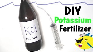 How To Make DIY Aquarium Plant Fertilizer Potassium [upl. by Marjory]