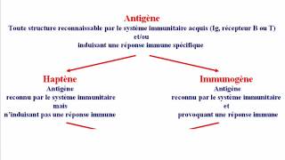 Réaction AntigènesAnticorps Partie I [upl. by Anircam785]