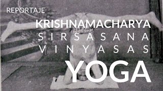 Krishnamacharya Sirsasana Vinyasas variaciones postura sobre la cabeza Mysore 1938Madrid 2016 [upl. by Ettenrahc447]