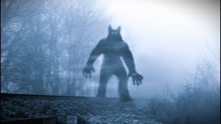 The Beginners Guide to Contacting a Cryptid  Creepypasta Storytime [upl. by Lawler349]