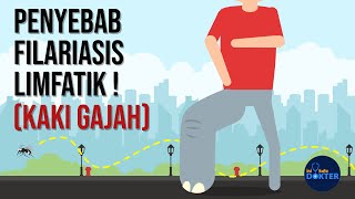 Apa Itu Penyakit Kaki Gajah Filariasis Limfatik [upl. by Aneerb]