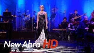 Waldemar Malicki amp Filharmonia Dowcipu  Operowe hity HD [upl. by Adraynek]