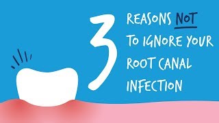 3 Reasons Not to Ignore Your Root Canal Infection [upl. by Ronyar]