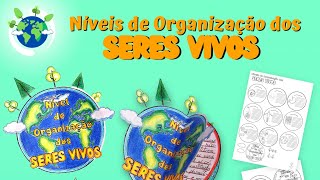 Círculo Book Níveis de organização dos Seres Vivos [upl. by Sall]